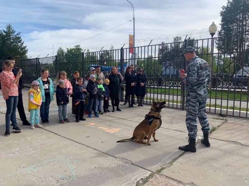 Счастливое число Светланы и Романа